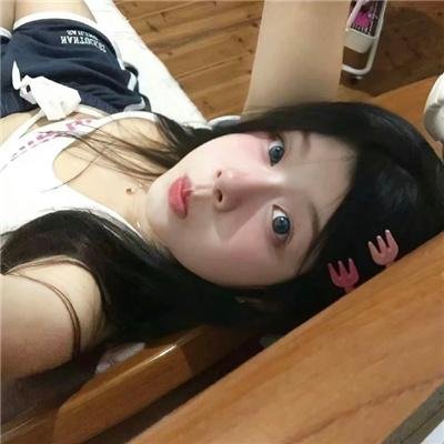森林里的熊先生